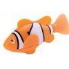 Clownfish Orange