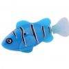 Clownfish Blue