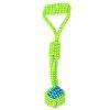 Green Holder